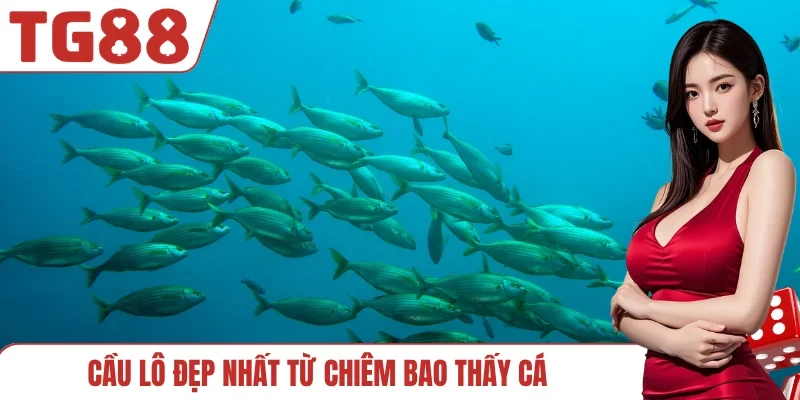 Cầu lô đẹp nhất từ chiêm bao thấy cá