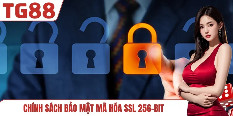 Chính sách bảo mật mã hóa SSL 256-bit