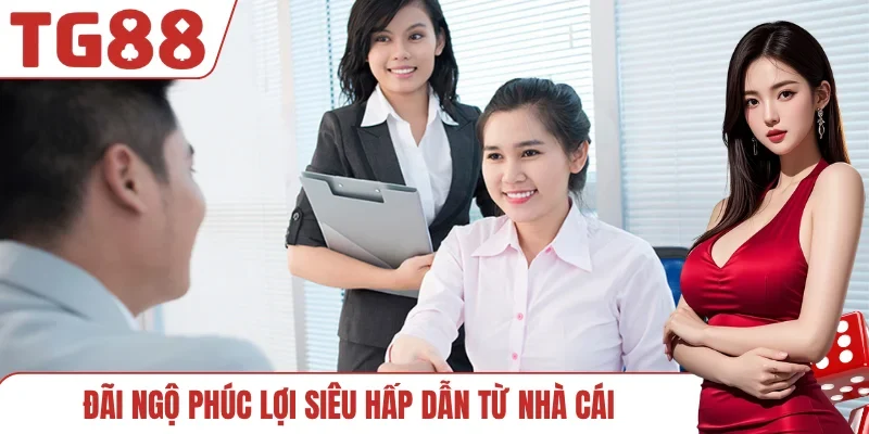 Đãi ngộ phúc lợi siêu hấp dẫn từ nhà cái