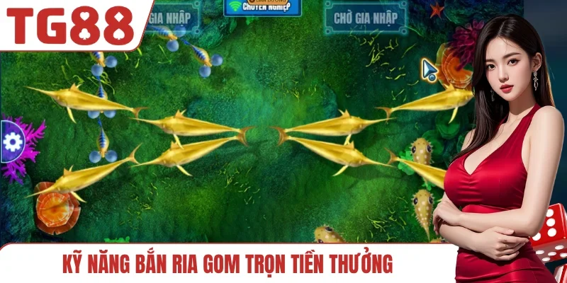 Kỹ năng bắn ria gom trọn tiền thưởng