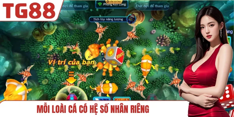 Mỗi loài cá có hệ số nhân riêng