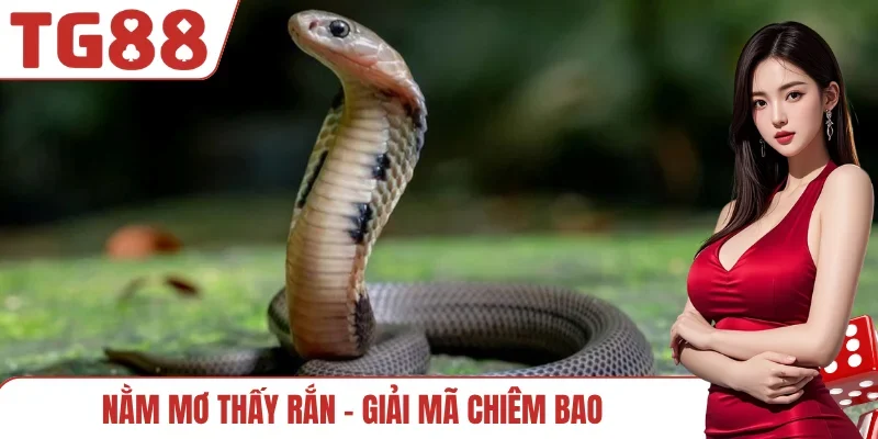 Nằm mơ thấy rắn