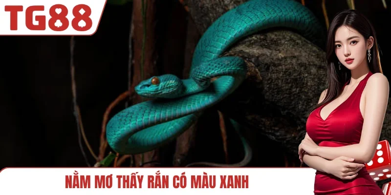 Nằm mơ thấy rắn có màu xanh