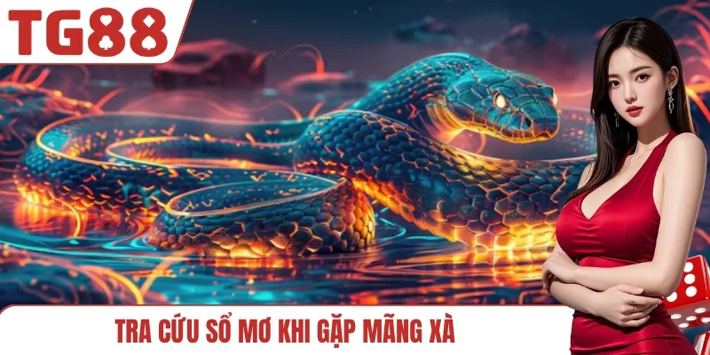 Tra cứu sổ mơ khi gặp mãng xà