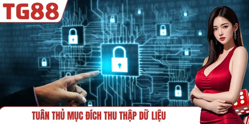 Tuân thủ mục đích thu thập dữ liệu